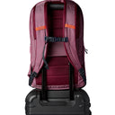 Cotopaxi Allpa 26L Daypack - Rucksack 52 cm (fig) - Ansicht 5