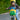 KLICKfix Lori Shopper - Fahrradtasche für Kinder (grün) - Markenkoffer