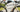 Bikepacking Packliste - Markenkoffer