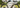 Bikepacking Packliste - Markenkoffer