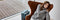 Valises & Trolleys