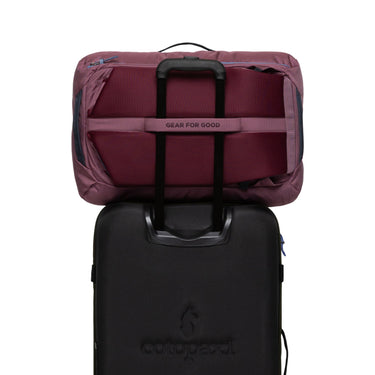 Cotopaxi Allpa 35L Travel Pack - Reiserucksack 56 cm (fig) - Ansicht 7