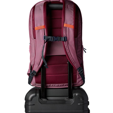 Cotopaxi Allpa 26L Daypack - Rucksack 52 cm (fig) - Ansicht 5