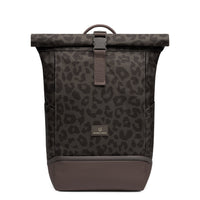 brown leo
