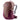 Deuter Futura 21 SL - Women's Wanderrucksack 50 cm (ashrose - cassis) - Markenkoffer