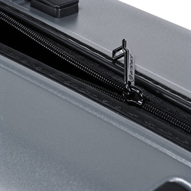 Eminent DANDELION - 4 - Rollen - Trolley 67 cm (dark grey) - Markenkoffer