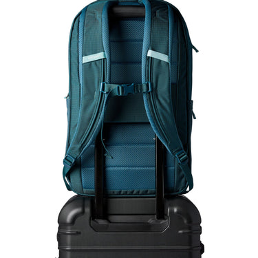 Cotopaxi Allpa 26L Daypack - Rucksack 52 cm (blue spruce and abyss) - Ansicht 5