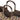 reisenthel shopping loopshopper L - Einkaufstasche mit Bügel 46 cm (frame leo macchiato) - Markenkoffer
