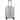 TITAN LITRON FRAME LIMITED - 4 - Rollen - Kabinentrolley 55 cm (silber) - Markenkoffer