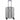 TITAN LITRON FRAME LIMITED - 4 - Rollen - Kabinentrolley 55 cm (silber) - Markenkoffer